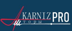 KARNIZPRO ШТОРЫ