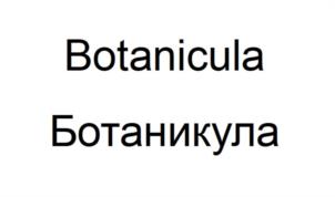 Botanicula Ботаникула