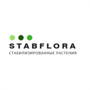STABFLORA СТАБИЛИЗИРОВАННЫЕ РАСТЕНИЯ