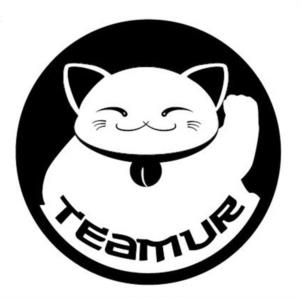 TEAMUR