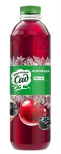 Фруктовый Сад Чёрная смородина