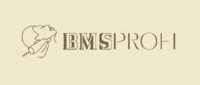 BMSPROFI