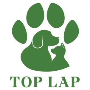 TOP LAP