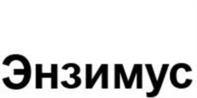 Энзимус