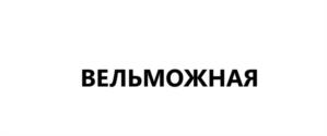 ВЕЛЬМОЖНАЯ