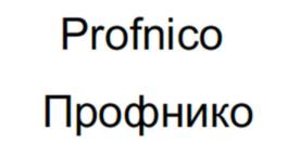 Profnico Профнико