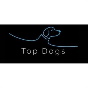 Top Dogs