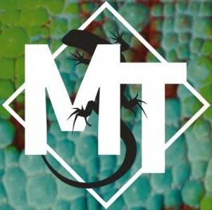 MT